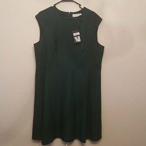 NWT +2 Dress